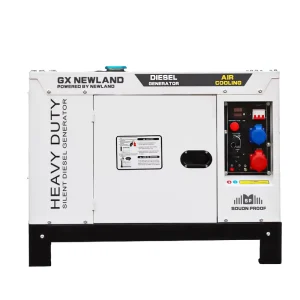 DG13000SE 10 kw 10000 w 12 Kva Portable Silent Air Cooled Diesel Generator