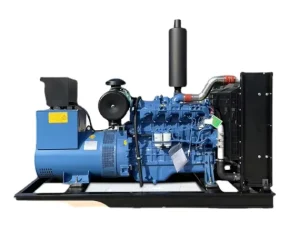 DX 50 Diesel Generator Fuel Efficient