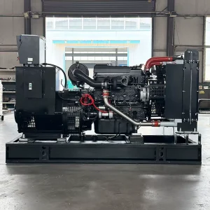 Diesel Generator 20KW Open Frame Auto Start ATS Remote Start 220V Generator Set for Factory and Construction Site Power