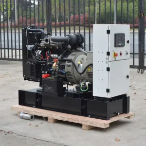 Diesel Generator Manufacturer 10kw 20kw 40kw 80kw 100kw 120kw 160kw 200kw 230V 400V Open Diesel Generators