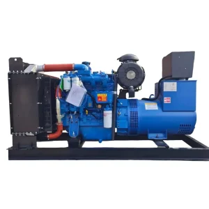 Diesel Generator Set 250kW 312.5kVA Intelligent ATS Stable Continuous Power Supply for Hospital and Data Center