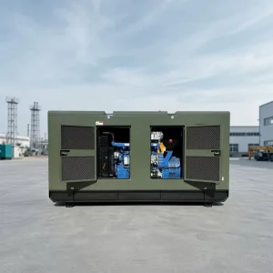 Diesel Generator Set 3 Phase Silent Canopy Types 30kva 200kva Auto Start ATS 200A Remote Start