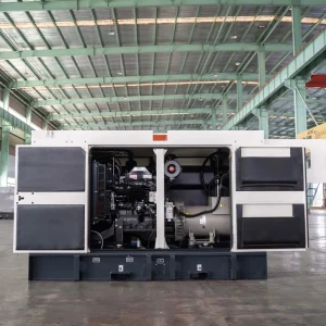Diesel Generator Set 375kva 300kw Soundproof Canopy Genset with ATS for Industry