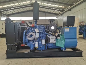 Diesel Generator Set 50KW Professional 62.5kVA 50 60Hz Three-Phase 110V 400V Auto Start ATS Silent