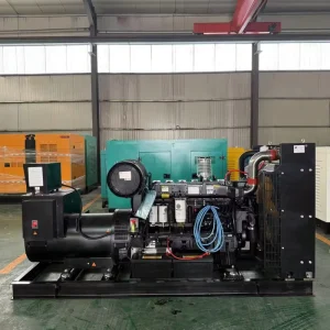 375kVA Open Frame Diesel Generator 24V DC Electric Start Water Cooled 50/60Hz Emergency Commercial Industrial Generators
