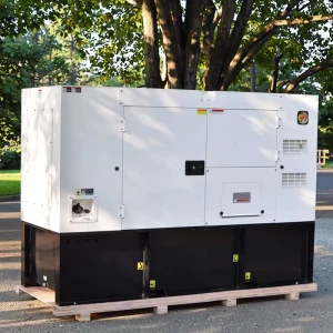 Diesel Generator Sets Single Three Phase Advanced Powered by 15kw 20kw 25kwPower Silent Type Soundproof Diesel Generator
