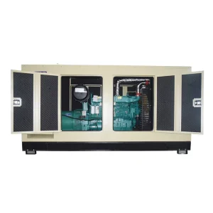 Diesel Generator Silent Inverter Generator with USB Port for Home Backup Power Emergency