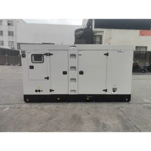 Diesel Generator Standby Silent Type 50Hz Remote Control Portable Engine