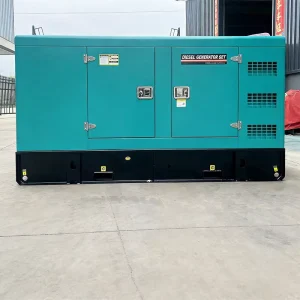 Diesel Generator Supplier with Fast Delivery Silent Type 50/60Hz