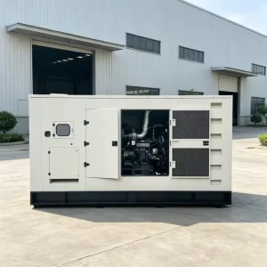 Diesel Generator Three Phase Supply or Home Village Power Failure Emergency Use