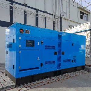 Diesel Generator WP10 312.5kva 250kw Silent Canopy Genset Prime Power Generador Eléctrico Silencioso for Sale