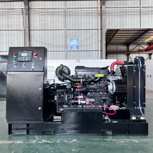 Diesel Generator for Wechai Yuchai Sdec Silent Type Open Frame ATS Auto Start 100% Copper Alternator 20-1000kw 50Hz