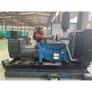 Diesel Inverter Power Generator Three Phase with Automatic Start 10kva 15 Kva 10 kw 15 kw Avr
