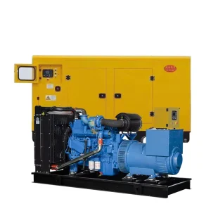 Diesel Power Generator Silent Farm Machinery Engine Manufacturer 50kw Diesel Generator