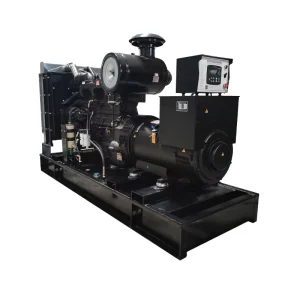 Diesel Silent Generator Set 312.5kVA 250kW 230V Auto Remote Start
