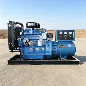 Diesel Small Generators Low Fuel Consumption Single Phase 50hz 220v 3phase Diesel Generators Set