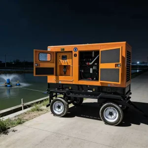 Dual Option Factory Direct Supply Silent Diesel Generator Single Phase Super Silent 50kVA