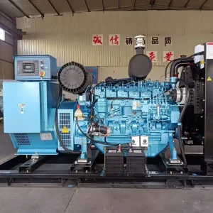 Durable Open Type Diesel Generator Set 12V/24V Auto Start Low Exhaust Emission for Rental & Event Power