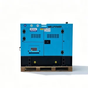 EPA 7kW 10kVA Diesel Generator Open Type Soundproof 15kW Power Plant 20kVA 20kW with ATS Powered by Perkins Engine