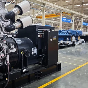 EPA Certified 10kW 12kVA Silent Diesel Generator 60Hz 1800rpm Three Phase Home Commercial Backup Power ATS Support