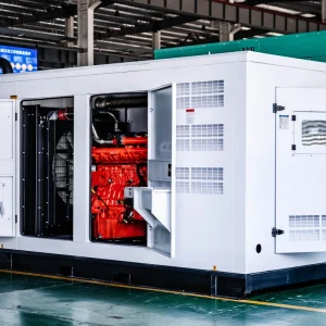 Electric Power 1 3phase 110V 220V 380V Container Silent Diesel Generators Sets for Outdoor Use Waterproof and Sun resistant