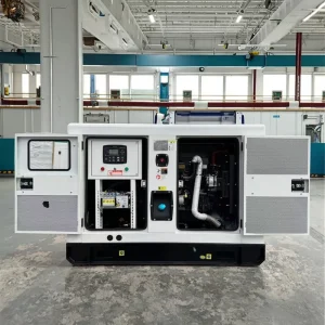 Electric Power Plant Home Brushless Diesel Generator 40kva 50kva Standby Generator with ATS Super Silent 480v Rated Voltage