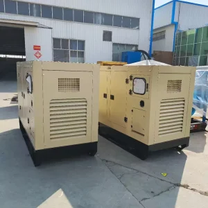 Electric Silent Diesel Generator Set 12kw 15kva 16kw 20kva with Yangdong Engine ATS Backup Power Water Cooled 24V DC Start