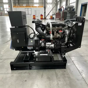 Emergency Standby 50KW 62.5KVA Silent Open Frame Case for Perkins Dynamo Generator High Power Alternator Power Set
