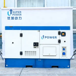 Energy Saving 187kVA Silent Diesel Generator for Home Use with Low Fuel Consumption 24V Inverter Silent Diesel Generator
