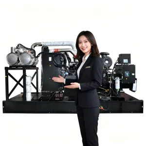 Euro V 20kw 50kw 100kw 200kW 300kW 250kVA 400kVA Cummins Electric Diesel Generator Set Standby Power Genset