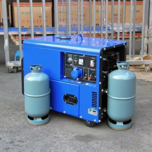 European Standard CE Portable Silent Diesel Generator ATS Petrol Gasoline LPG Multiple Fuel 5kva 5kw 8kva 10kva 110V 220V 380V