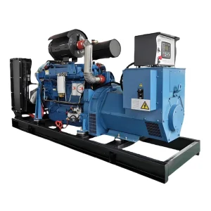 FD W200 200KW 50Hz Self-starting Diesel Generator Set for Construction Site Factory Standby Power