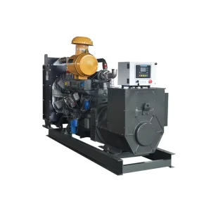 Factory Direct Sale 160kw 200kva Super Silent Diesel Generator with Auto Start ATS and Engine
