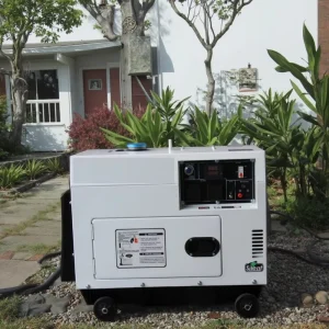 Factory Silent Portable Diesel Generators 3kva 5kva 8kva 10kva Soundproof 220V 380V 50/60HZ 230V ATS 5kw 10kw 480v 240V Silent