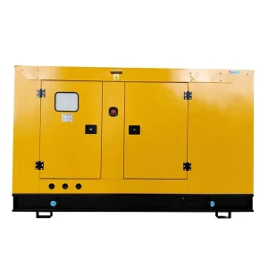 Fast Start Stable Power Low Noise Fuel saving Durable Harsh Weather Industrial Medical Emergency Backup Use ATS 50 Hz Silent