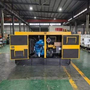 Flywheel Diesel Generator 50 60 kW 50 Hz Silent Portable AC Three Phase Genset with Kohler Engine and ATS