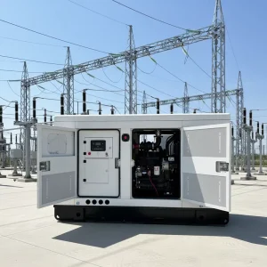 For Diesel Generator 20-320kW 3-Phase 400V Auto Start ATS Silent Genset with Stamford Alternator & CE Certification