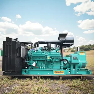For Diesel Genset Open Frame Water Cooled 1000KVA 2500KVA 50Hz 24V DC Electric Start Soundproof Canopy 230 400V Generator