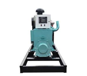 Green Power Natural Gas Biogas Generator 10-150kw Weichai Engine Soundproof 24V DC Electric Start 230V Stamford Pig Duck Chicken