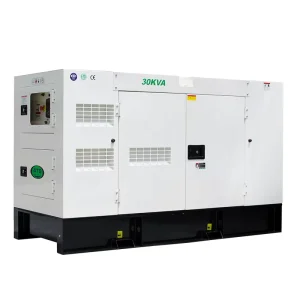 Groupe Electrogene Silent 50Hz Yuchai 15kw 16kw 18kw 20kva 22kva Diesel Generator With Automatic Transfer Switch