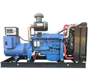 HWP10IZLD 250KW 300KVA Diesel Generator Set Water Cooled Open Frame Type Genset Brushless Alternator Single/Three Phase