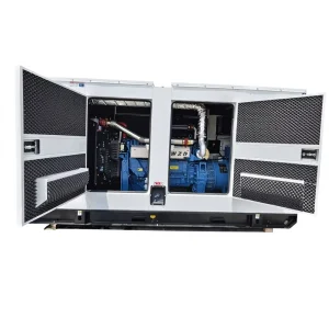 HWP6126ZLD 250KW 300KVA Water Cooled Silent Canopy Type Diesel Generator Genset 100% Copper Brushless Alternator