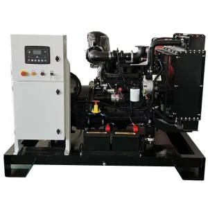 Heavy Duty 1000kVA 800kW 3PH 400V 50 60Hz Open Silent Diesel Genset for Engine Construction Mining Industrial