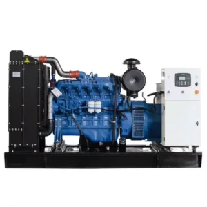 Heavy Duty 1000kVA 800kW 3PH 400V 50Hz Open Silent Construction Mining Industrial Diesel Genset