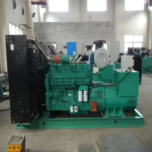 Heavy Duty 800kVA 640kW 3PH 400V 50Hz Open Silent Construction Mining Industrial Diesel Genset