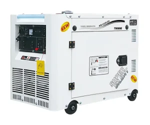 High Efficiency 6KW Auto Start Single Phase 220V Portable Diesel Engine Generator with 95% Efficiency and 50/60Hz