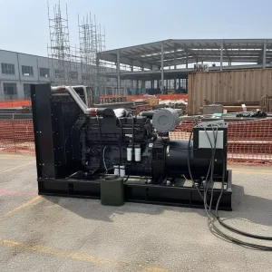 High Efficiency Diesel Generator for Industrial and Home Use with Low Fuel Consumption