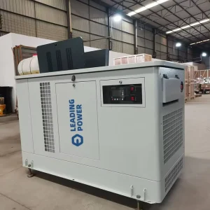 High Efficiency NG/LPG Gas Generator 6kW 9kW 15kW 50Hz Single Phase Air Cooled Low Noise for Home Emergency Power Supply