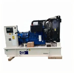 High Performance Power Plant Fg Willson Diesel Generator 160kw 200kva 80kw 100kva Super Silent ATS Stamford Alternator 1/3