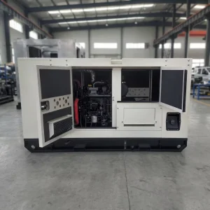 High Power 30KW 50KW Silent Canopy Generator Remote Control Water Cooled Heavy Duty Backup Power for Data